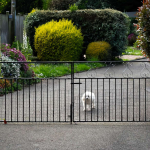 poort