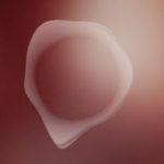 project-q-genderneutraal