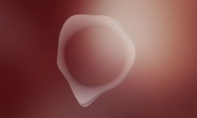 project-q-genderneutraal