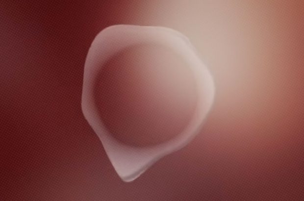 project-q-genderneutraal