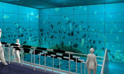 sharp-display-Ten-Bosch