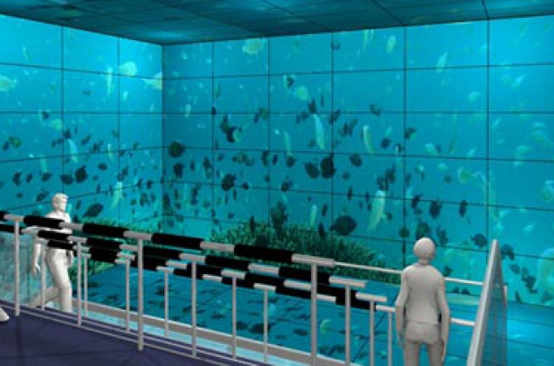 sharp-display-Ten-Bosch