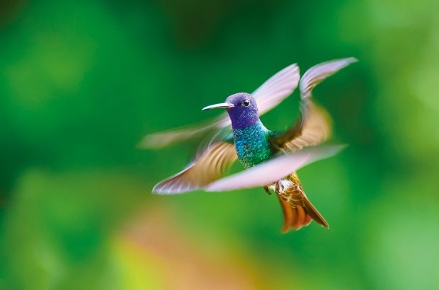 shutter4_Nikon_©Zuzana Zizkova