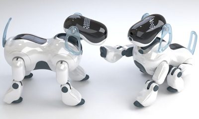 sony-aibo