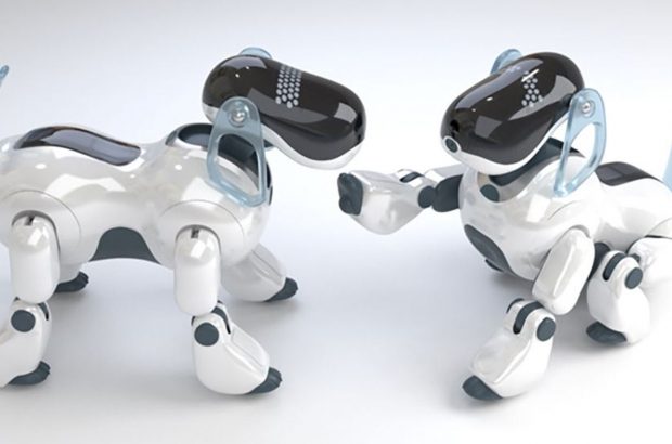 sony-aibo