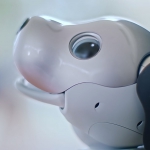 sony-aibo-robothond
