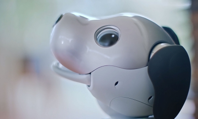 sony-aibo-robothond