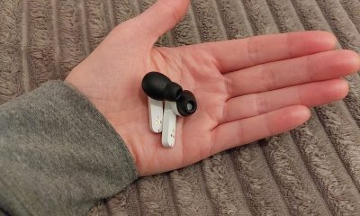 testpanel Merel – Brainwave03-4