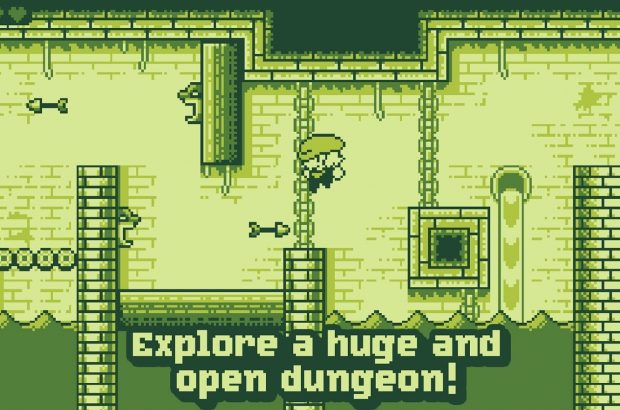 tiny-dangerous-dungeons-feature
