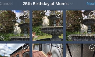 tumblr-live-photos