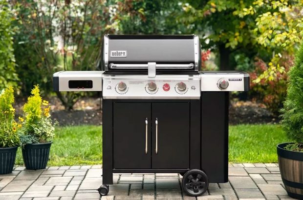 weber-gasbbq-slim