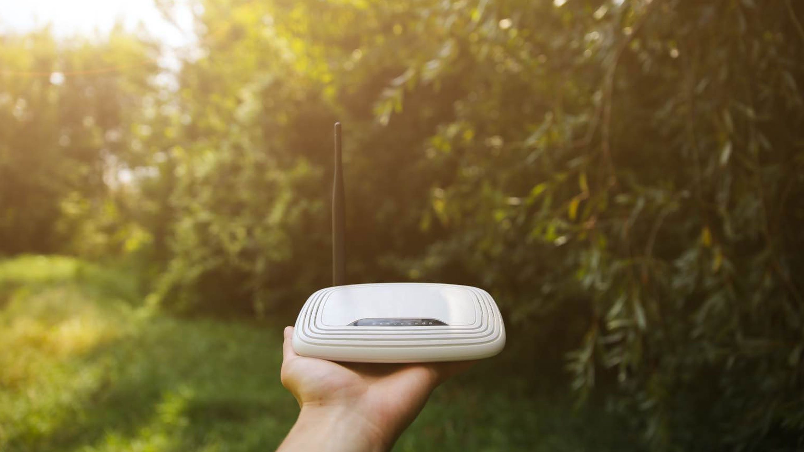 De beste wifi-verbinding tuin: zo het voor elkaar | FWD
