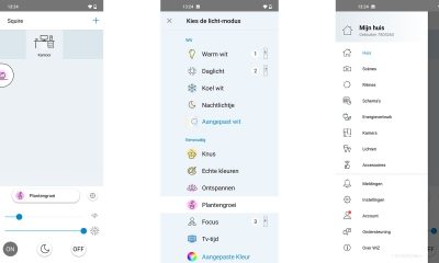 wiz-full-colour-squire-2